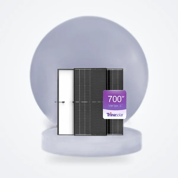 Panel Solar Trina Vertex N TSM-700NEG21C.20 700W Bifacial